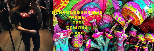 дурь Алексин
