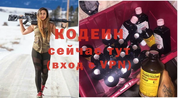 дурь Алексин