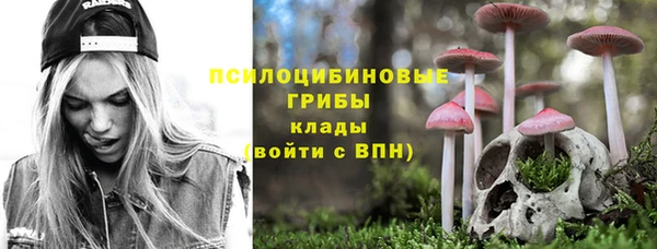 дурь Алексин