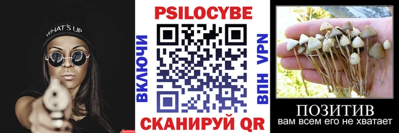 Галлюциногенные грибы прущие грибы  Учалы 